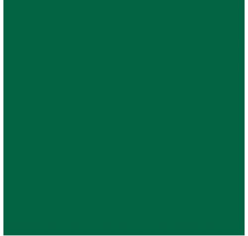 43005-Lead Free Fuse Master EZ Fire Paint Chrome Green