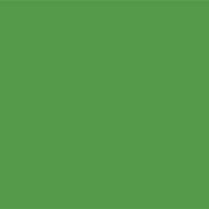 43105-Lead Free Fuse Master Low Fire Paint Green