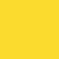 43120-Lead Free Fuse Master Low Fire Paint Canary