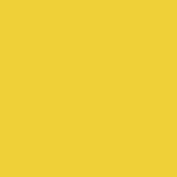 43121-Lead Free Fuse Master Low Fire Paint Mango