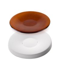 Cliquer pour agrandir