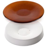 Cliquer pour agrandir