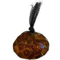 Cliquer pour agrandir