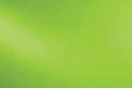 SF22674-96 Amazon Green Opal