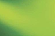 SF5262-96 Moss Green Transparent