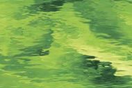 SF5262W- 96 Moss Green Waterglass Transparent