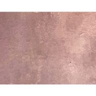 W1051-Pl.Rose Trans.#418
