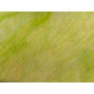 W1108-Avocado Opal Granite #55G