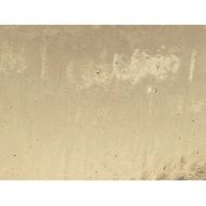 W1207-Amber Tint Seedy Trans.#0001S