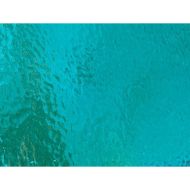 W1279-Light Turquoise Corella #C158
