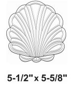 EC811-Exquisite Cluster Shell