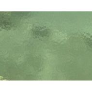 W1030-Pl.Green Trans.#309