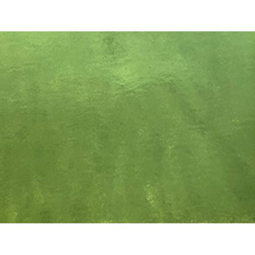 W1037-Desert Green Trans.#287